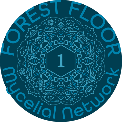 E1: FOREST FLOOR™ Mycelial Network™ - Company Values: Adventure-Quest, Creativity, Contentment, Community, Contribution, Growth, and Transcendence.