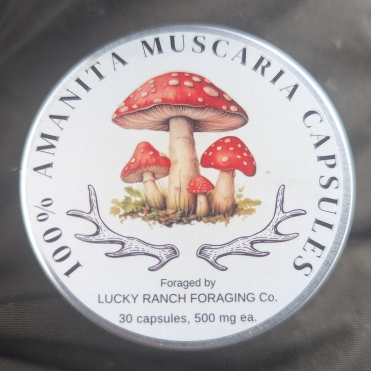 Product Report Amanita Muscaria Capsules by Reilly Steidle of LUCKY RANCH FORAGING Co.