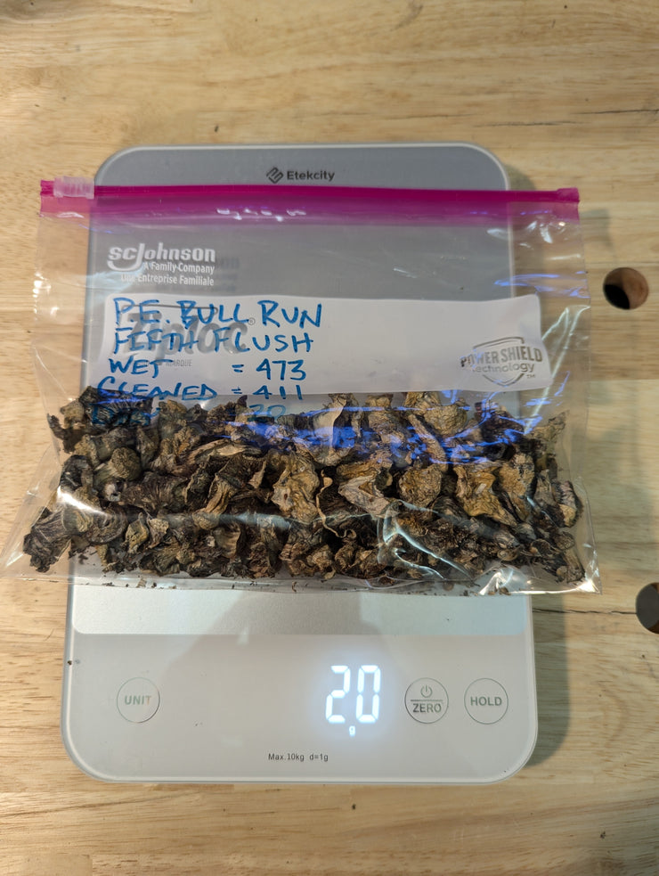 Fifth & Sixth Flush, P.E. Bull Run 16 lb. Tray FOREST FLOOR™ Model 101