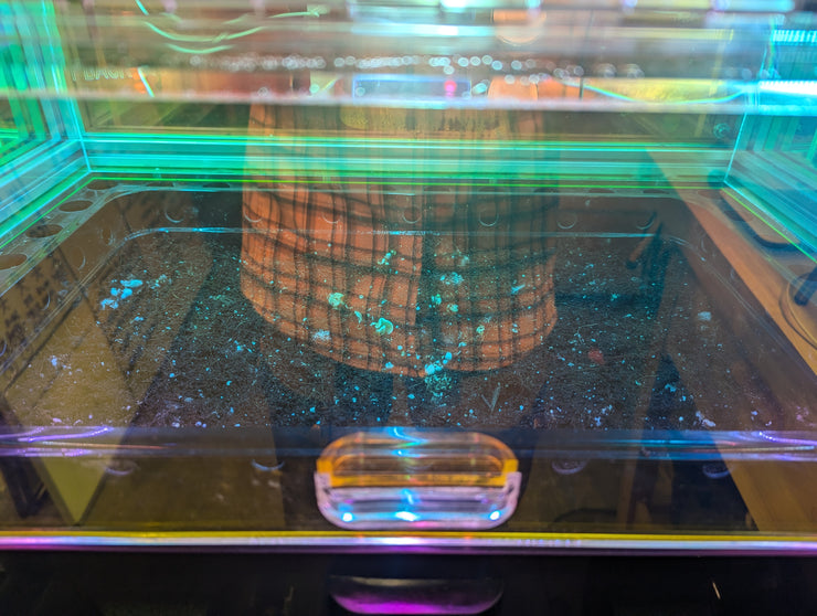 Experiment Update #2, P.E. Bull Run 16 lb. Tray FOREST FLOOR™ Model 101