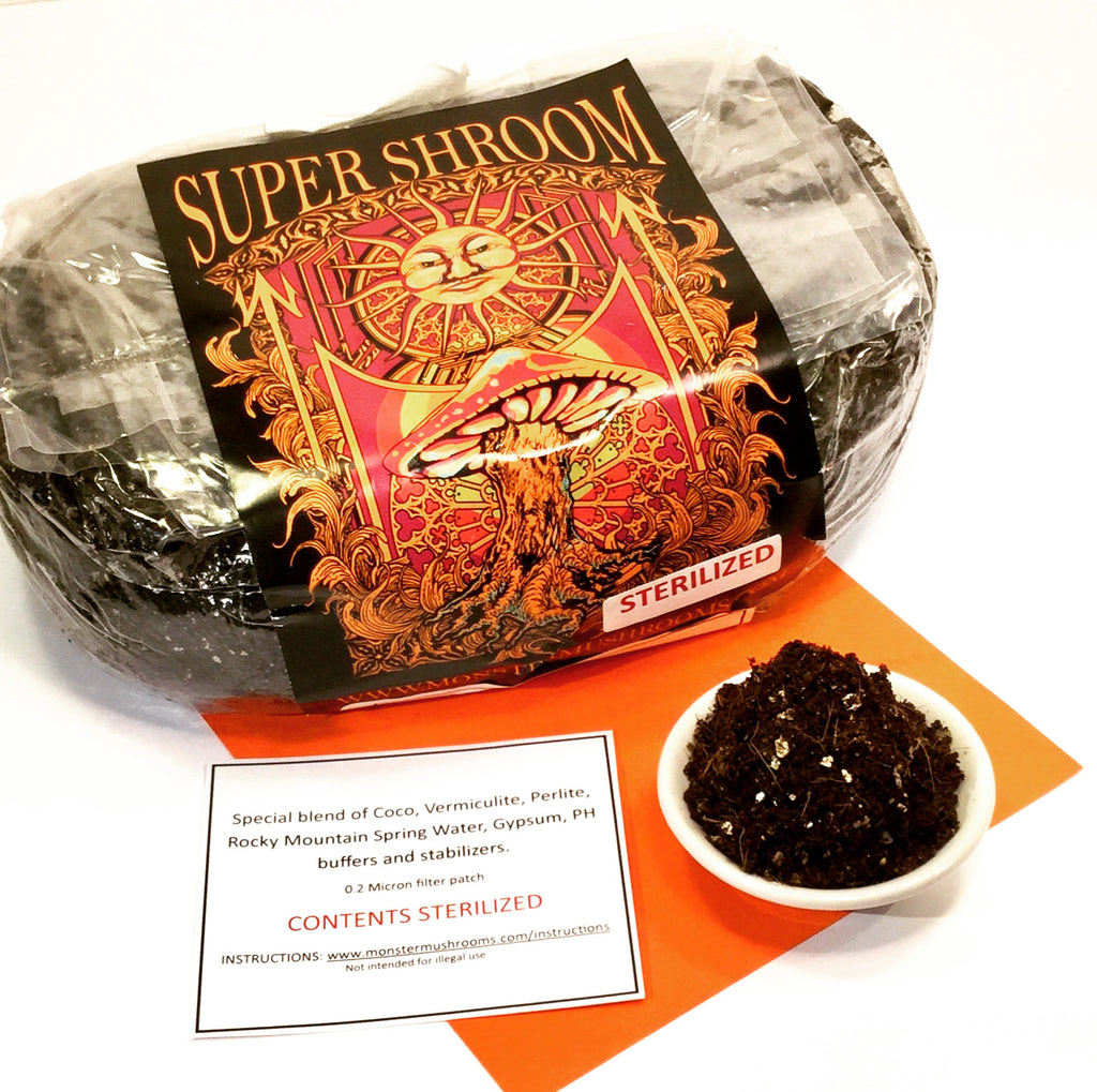 Happy Halloween! Thank You Monster Mushroom Company.